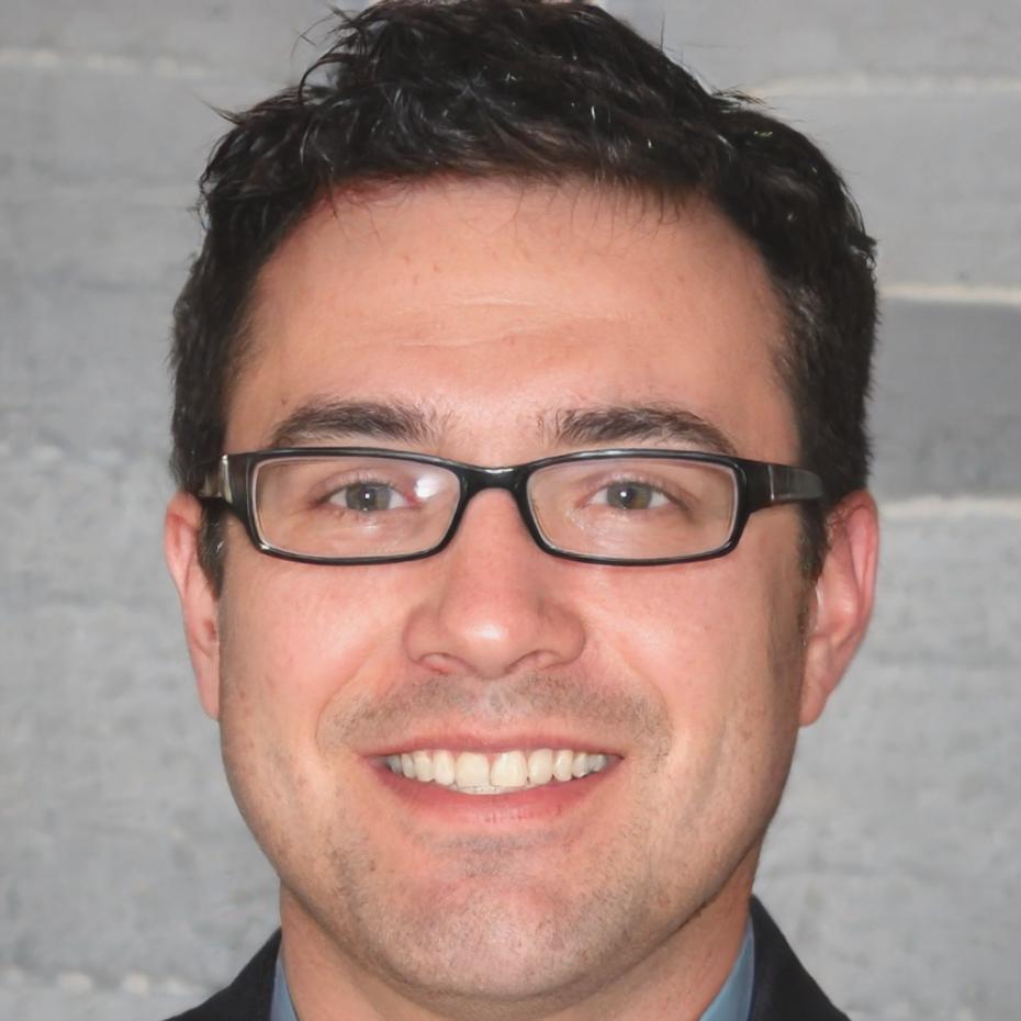 Rui Ferreira, Consultor Sénior